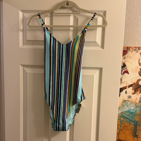 aerie Other - Aerie Multicolor Striped Swimsuit